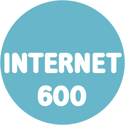 Connect 300